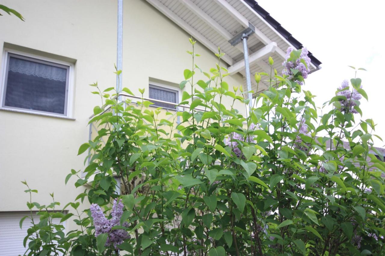 Windjammer Koserow エクステリア 写真